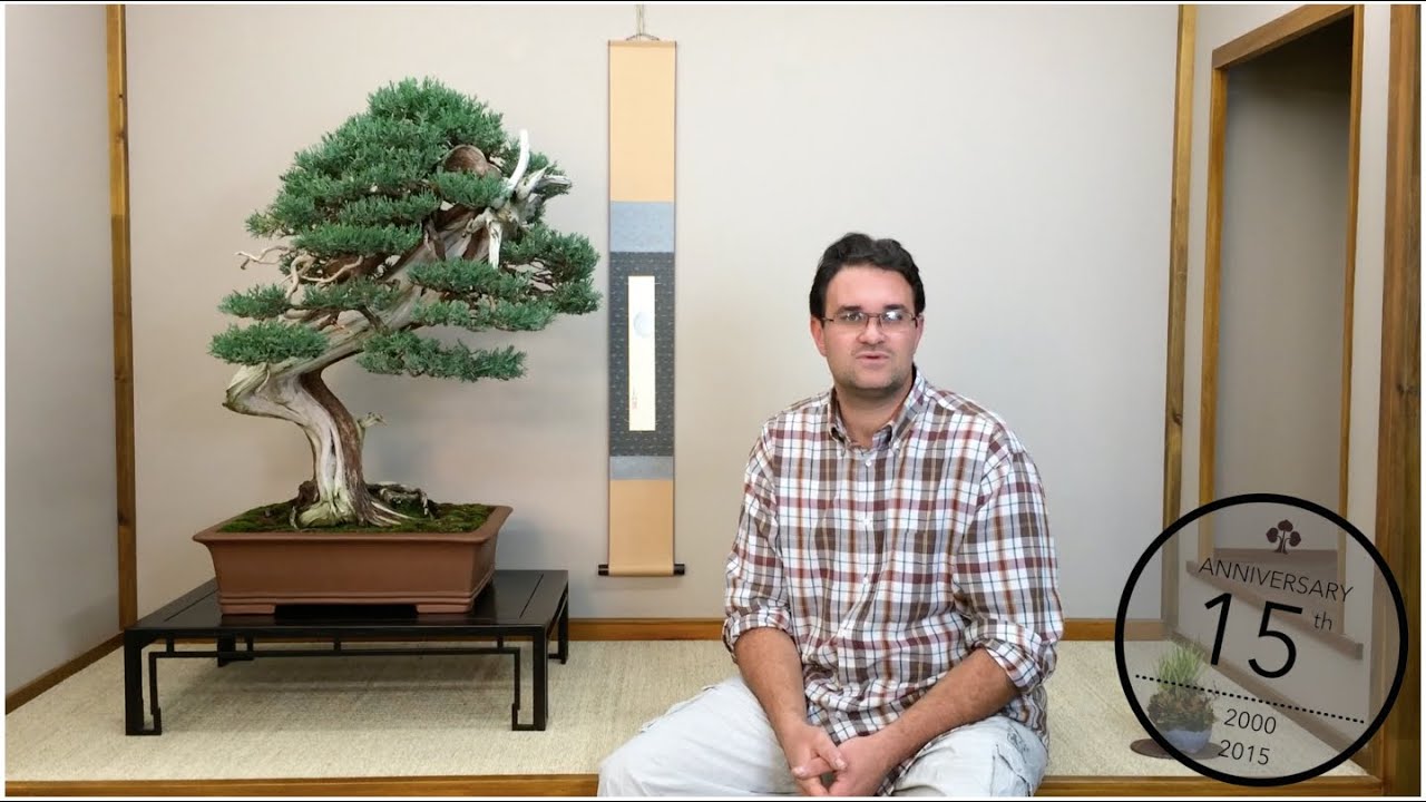 Variétés des genévriers en bonsaï, Alexandre Escudero