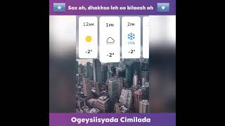 Saadaasha Hawada Tooska ah: Cimilo sax ah & Cimilo Maxalli ah screenshot 3