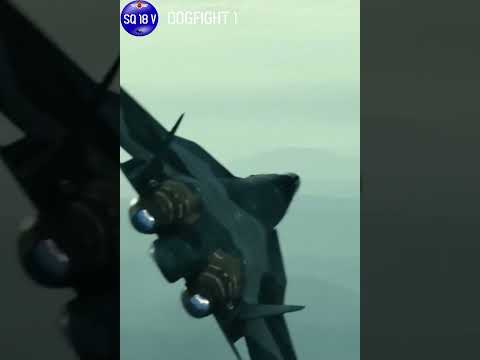 Shorts  F14 Tomcat Top Gun 2 Dogfight