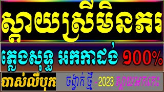 ស្តាយស្រីក៏មិនភរ ភ្លេងសុទ្ធ , ឆ្នាំមុនសប្បាយក្រៃ Karaoke   Cambodia Karaoke Cover NewVersion,