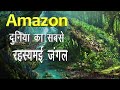 Facts about amazon jungle in Hindi | Largest jungle in the world | Amazon Rainforest