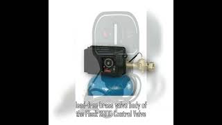 2900 Control Valve for Filtration Systems