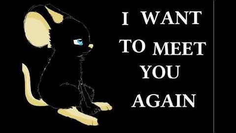 Sad animation of transformice- NEVER MEET AGAIN-