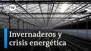 Alimentos producidos en invernadero: entre cerrar o cambiar