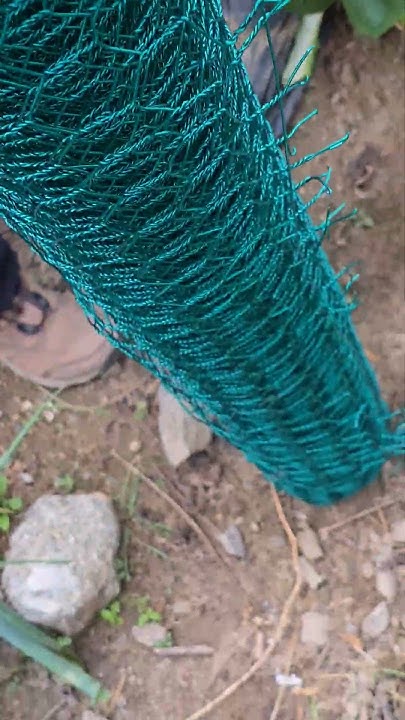 2 Exercise is important, but eating is even more important. 운동도 중요하지만 ...