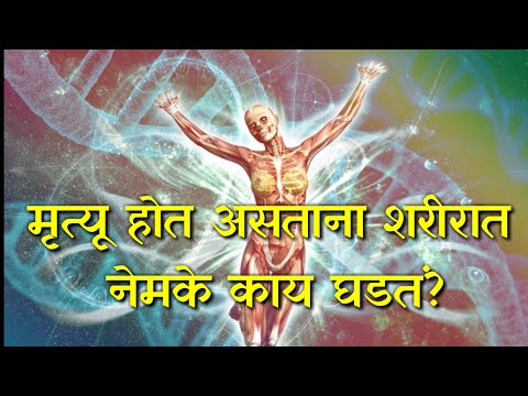 जेव्हा मरण येते तेव्हा शरीरात नेमके काय घडले,marathi motivational