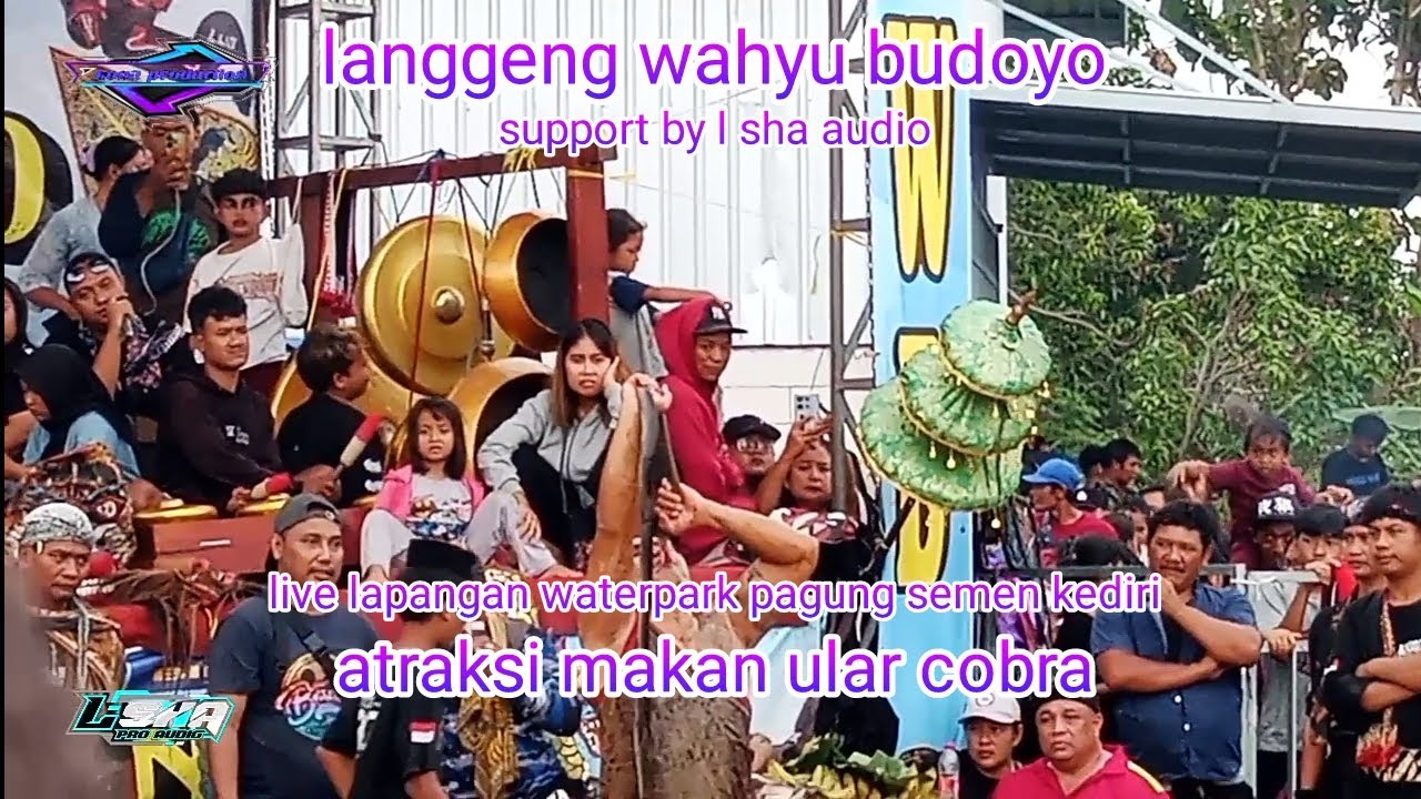 atraksi makan ular cobra langgeng wahyu budoyo ft l sha audio - live pagung semen kediri
