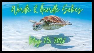 Wordle & Quordle of the Day for May 23, 2026: Happy Turtle Day!