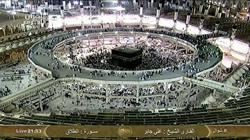 الشيخ على جابر سورة الطلاق