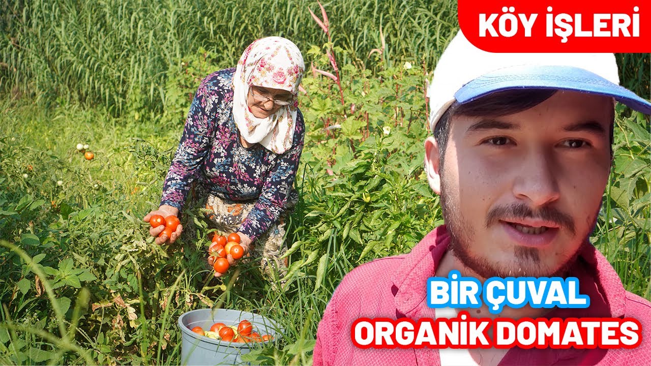 İZMİRİN ÖDEMİŞ İLÇESİNİN YUSUFDERE KÖYÜNDE BAHÇE TURU | Bir Sürü Mahsül Topladı | Öğlen Yemeği Vlog