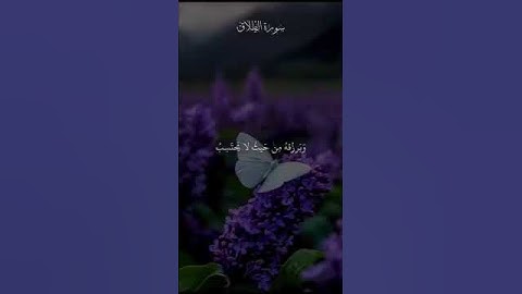 #القرآن_الكريم #تلاوة_خاشعة #اكسبلور #ماهر_المعيقلي #ياسر_الدوسري #لايك #قرآن #ترند #تيك_توك #تلاوات