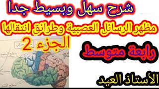 مظهر الرسائل العصبية وطرائق انتقالها الجزء الثاني رابعة متوسط الجيل الثاني2022/2021