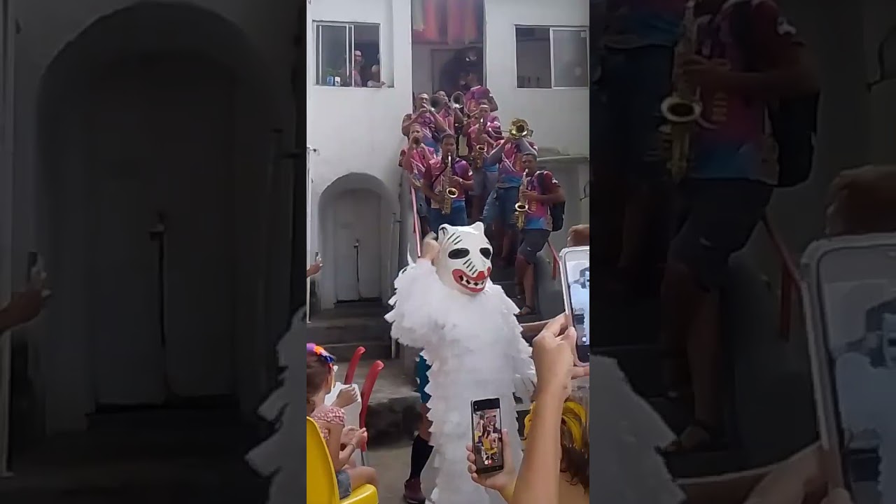 TCM Rango de mãe, 08/02/2026, carnaval de Olinda 2026