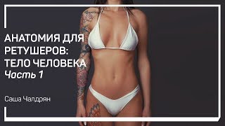 Пропорции тела человека. Анатомия для ретушеров: тело человека. Саша Чалдрян Пропорции тела человека. Анатомия для ретушеров: тело человека. Саша Чалдрян