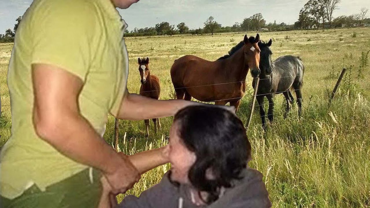 Calm Farm Morning | ASMR Nature, Horses, Fishing, Cooking & Slow Living 🐎🌾🐟