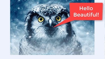 How to Add Watermark to Photos Images on Wordpress Blog FREE!