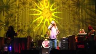 She Gave Good Sunflower