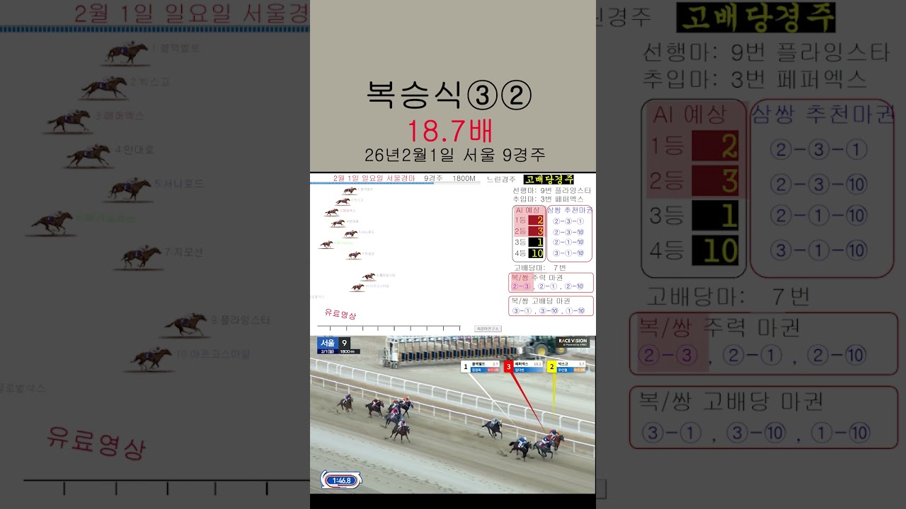 서울경마 18 7배 복승적중 AI경마연구소 2월 1일 서울9경주 #ai경마연구소