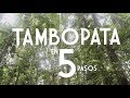 Un viaje a las puertas de la Amazonía - Buen Viaje a Tambopata 🌳