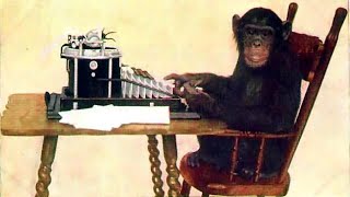 Vincent Ho:  Monkey See, Monkey Do    Clark Bryan, piano