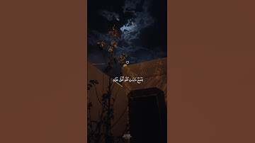 تلاوة مؤثرة جدا بصوت الشيخ ماهر المعيقلي ارح سمعك ♡ #ماهر_المعيقلي #short #قرآن