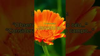 Deus continua soberano.#Evangelho #Biblia #Cristo #Fé #ReelsCristão #TempoDeDeus
