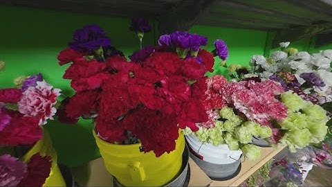 Valentines Day gifts coming at a premium price in 2023