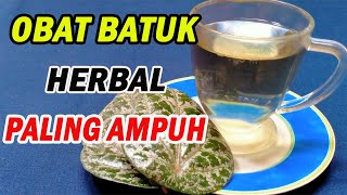 100% MANJUR!! Obat Batuk Herbal Dengan Sirih Merah
