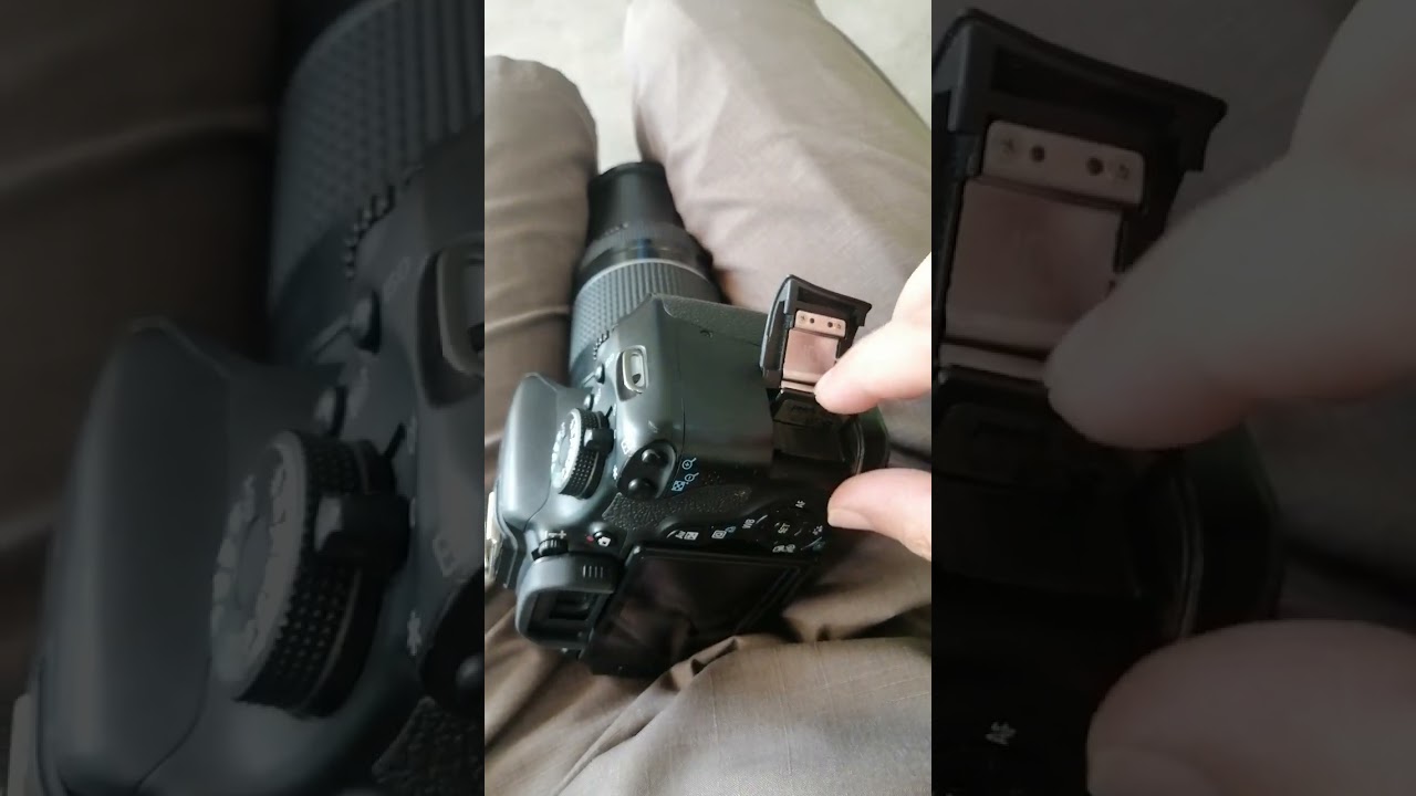 Canon Rebel T3 with 75 300 lens 