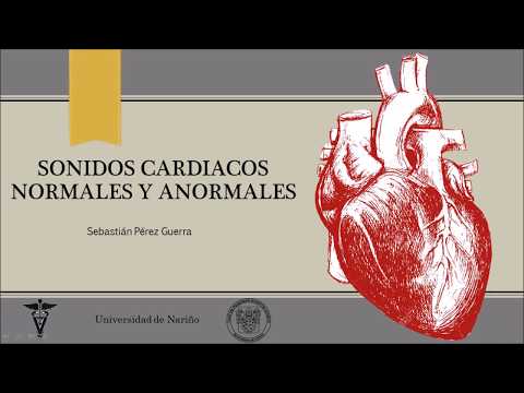 Vídeo: Ritmos Cardíacos Anormais - Gatos