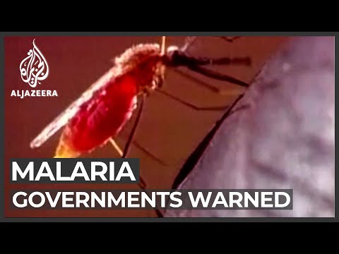 World Malaria Day: Governments urged to prevent rise in deaths