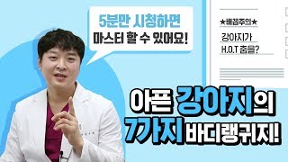 아픈 강아지의 7가지 바디랭귀지 [24시수동물병원]