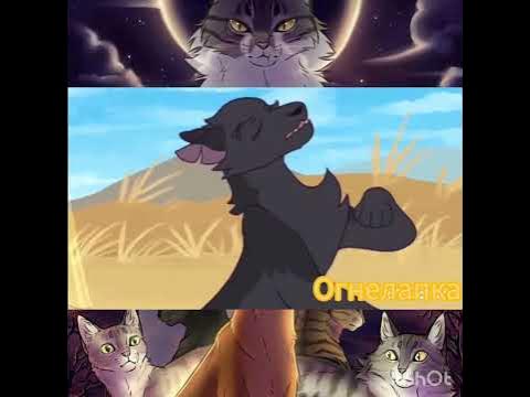 Коты воители Ветерок - YouTube
