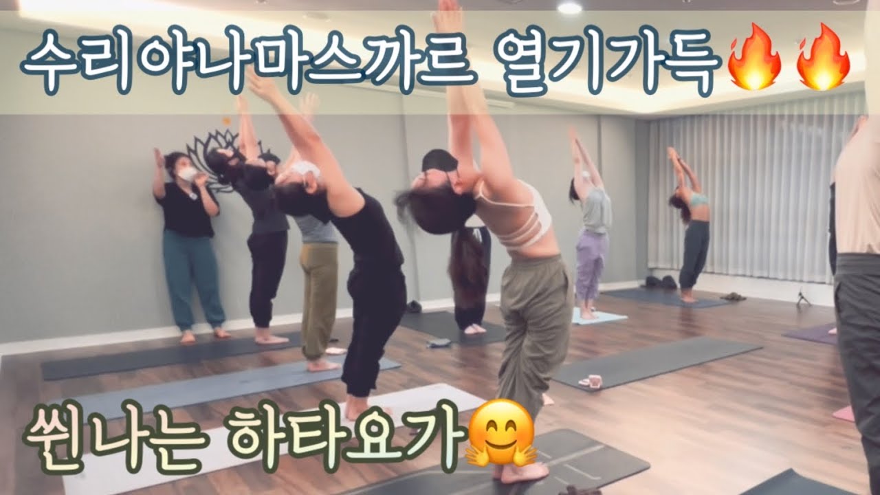 [엔젤요가] 수리야나마스까르 열기가득🔥🔥🔥  쒼나는 하타요가🤗 | 올레벨