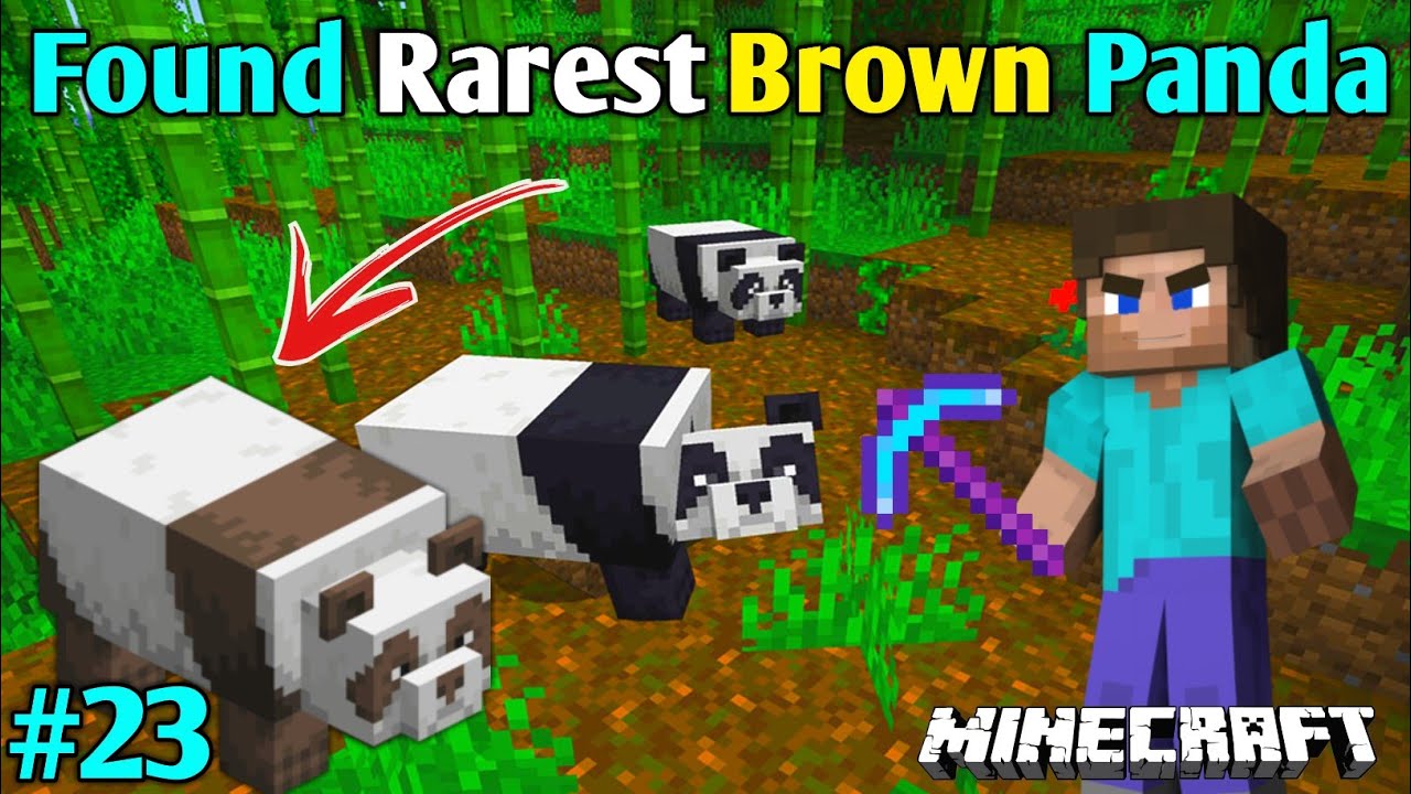 I FOUND RAREST BROWN PANDA | MINECRAFT GAMEPLAY IN HINDI | MINECRAFT