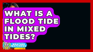 What Is A Flood Tide In Mixed Tides? - Weather Watchdog