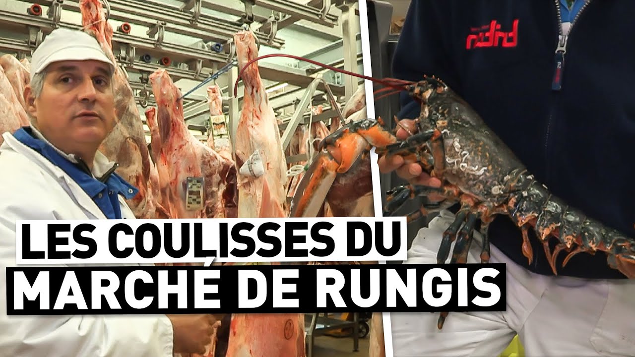 LES COULISSES DU MARCHÉ DE RUNGIS