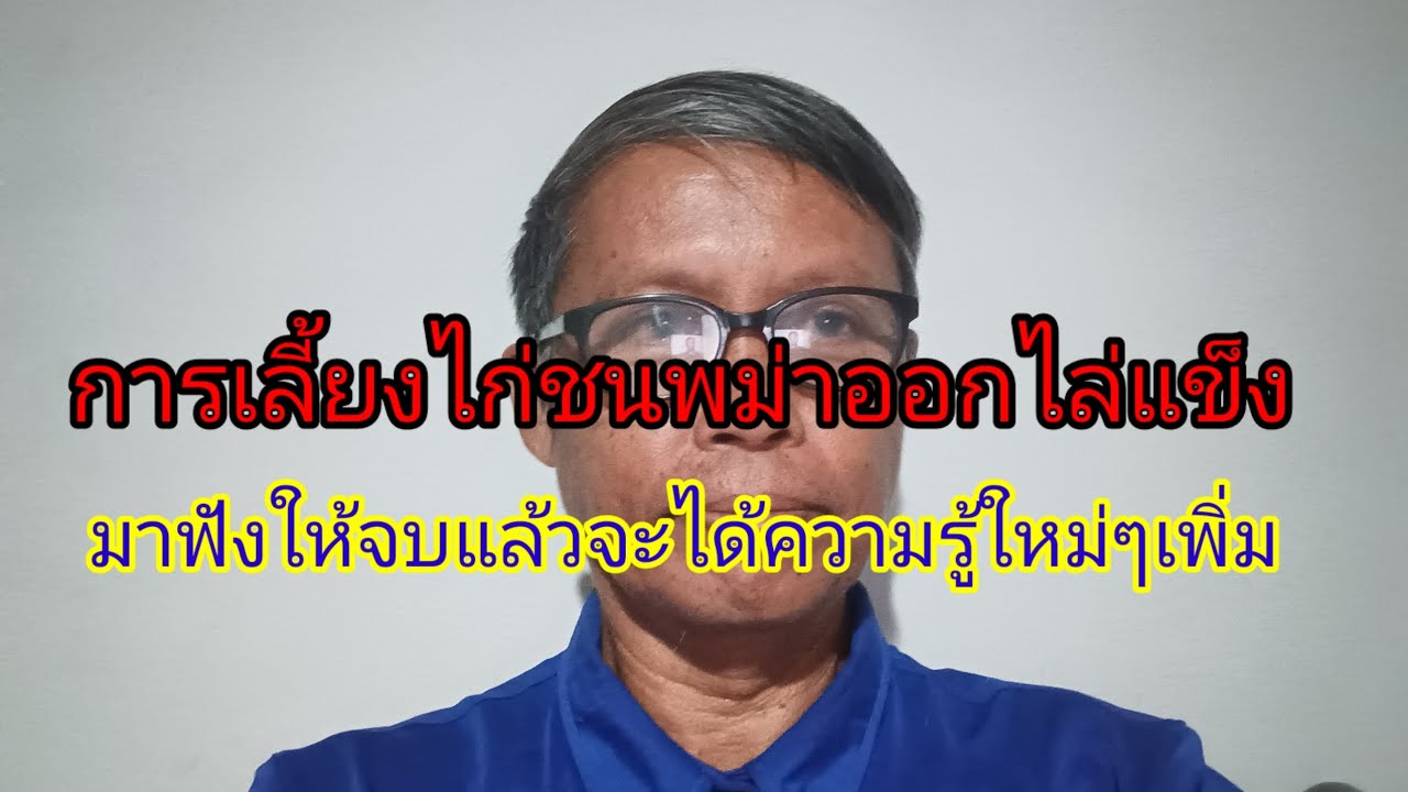 การเลี้ยงไก่ชนพม่าออกไล่แข็ง  มาฟังให้จบแล้วจะได้ความรู้ใหม่เพิ่ม
