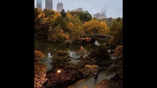 heylog - autumn (dansyafi remix)