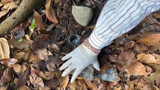 Project Metode Pitfall Trap