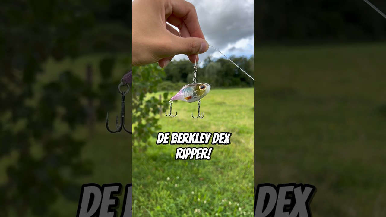 Met dit AASJE vang je ELKE ROOFVIS!!! 😱