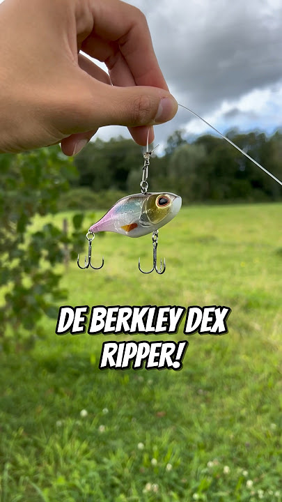 Met dit AASJE vang je ELKE ROOFVIS!!! 😱