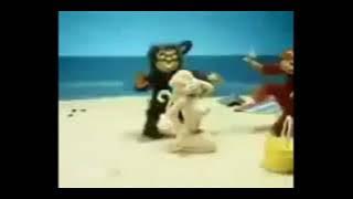 Nostalgia monyet gila Ng3uwe bule di pantai..😁😂 OPOWAE TV