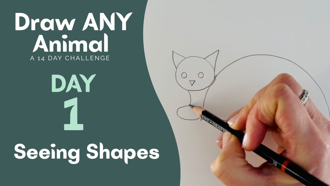 DRAW ANY ANIMAL - 1 - Seeing Shapes