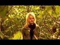 Yilmazz - IK HEB OP JOU GEWACHT