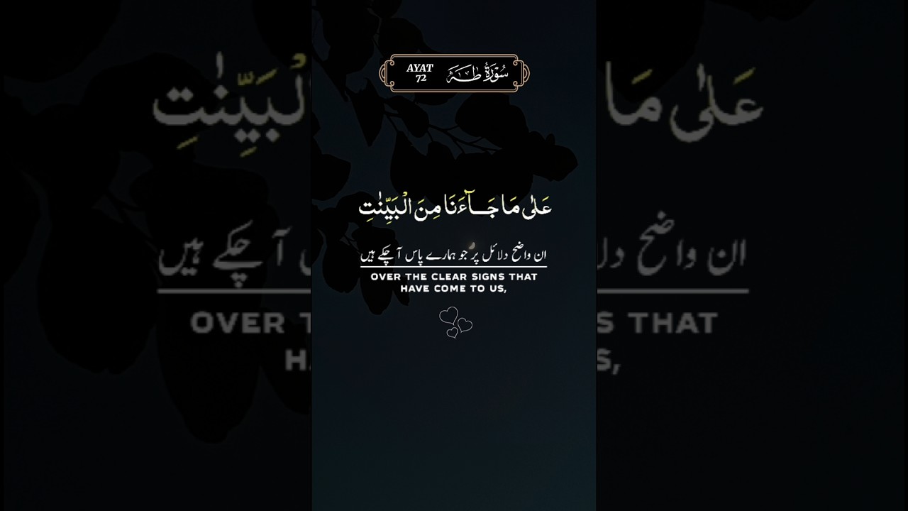 Surah Ta-Ha Verse 72 | Beautiful quran recitation | Tilawat Quran...