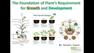 LICOR LI-6800: Photosynthesis Theory and Practical Training at STROPI Part 1 of 5