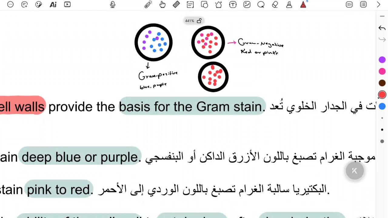 تفليش البكتريا م٢