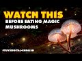 5 GOLDEN RULES - Before Consuming Magic Mushrooms and Psilocybin | IMPORTANT