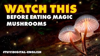 5 GOLDEN RULES - Before Consuming Magic Mushrooms and Psilocybin | IMPORTANT
